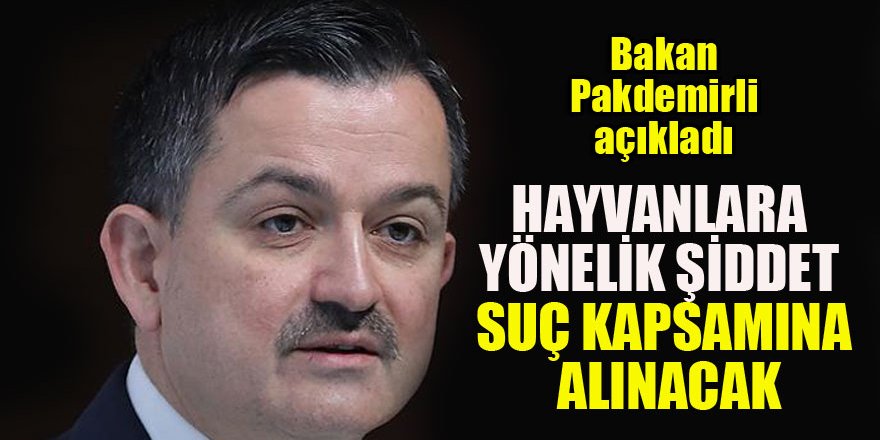 Hayvanlara yönelik şiddet suç kapsamına alınacak