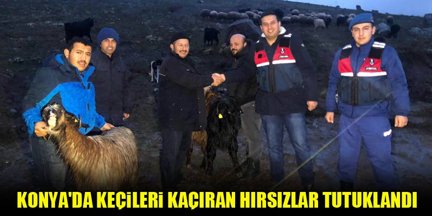 Konya Haberleri: 6 keçi çalan 2 şüpheli tutuklandı Konya Haberleri: 6 keçi çalan 2 şüpheli tutuklandı