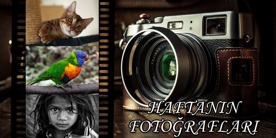Haftanın fotoğrafları
