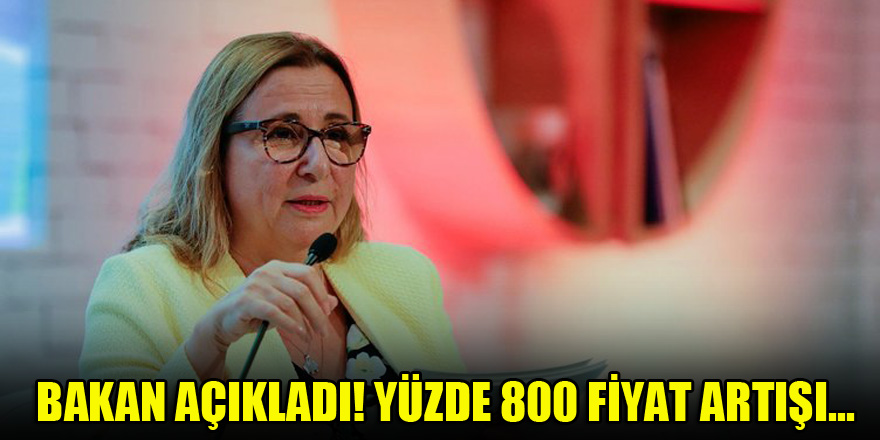Bakan açıkladı! Yüzde 800 fiyat artışı...