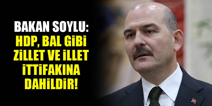 Bakan Soylu: HDP, bal gibi zillet ve illet ittifakına dahildir
