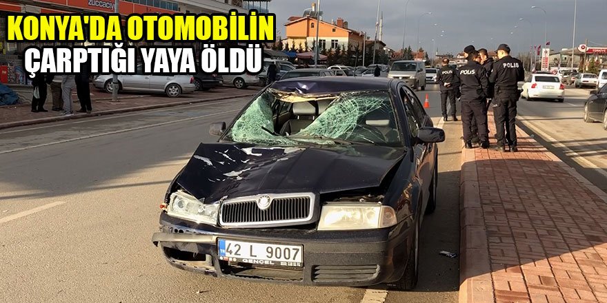 Konya'da otomobilin çarptığı yaya öldü
