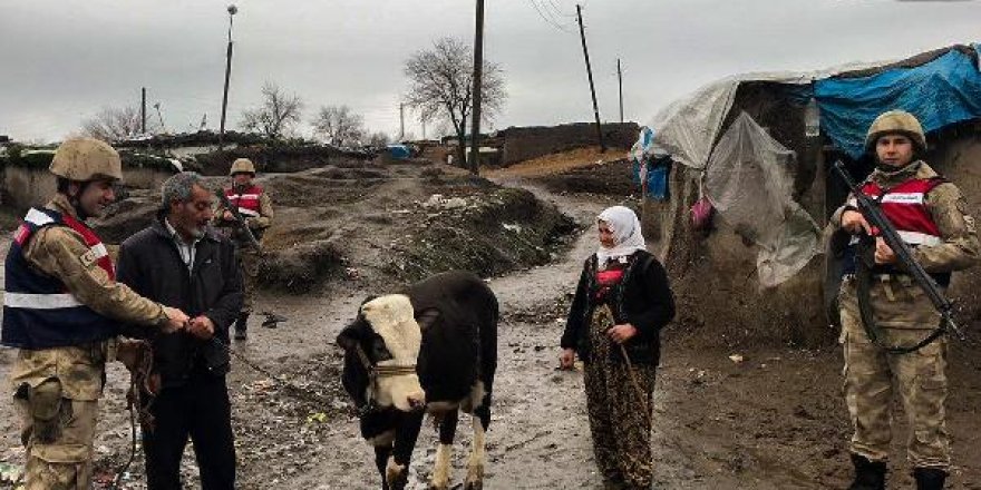 Diyarbakır'da 'inek' hırsızlığına 3 gözaltı
