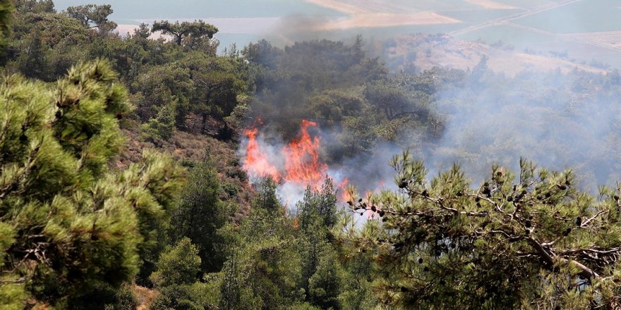 Terör örgütü PKK orman yakıp şantiyelere saldırdı