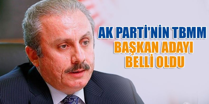 AK Parti'nin TBMM Başkan aday belli oldu