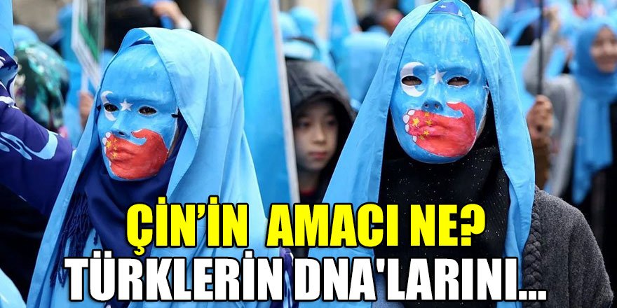 Çin Türklerin DNA'larını topladı! Neyin peşindeler?