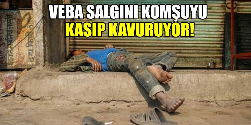 Veba salgını komşuyu kasıp kavuruyor!