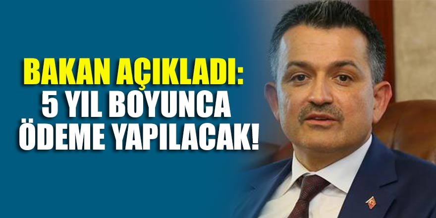 Bakan açıkladı: 5 yıl boyunca ödeme yapılacak!