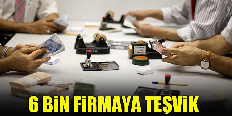 6 bin firmaya teşvik