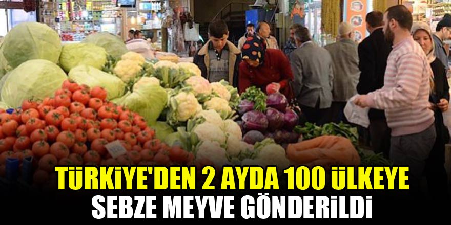 Türkiye'den 2 ayda 100 ülkeye sebze meyve gönderildi