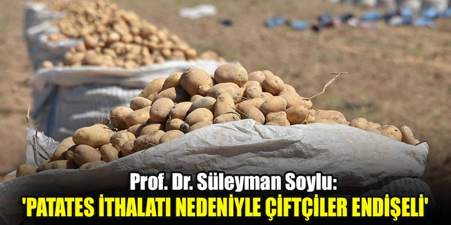 'Patates ithalatı nedeniyle çiftçiler endişeli'