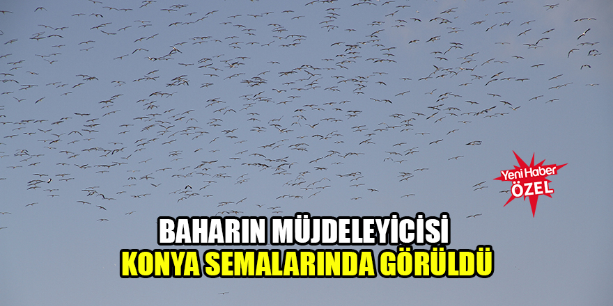 Baharın müjdeleyicisi Konya semalarında görüldü