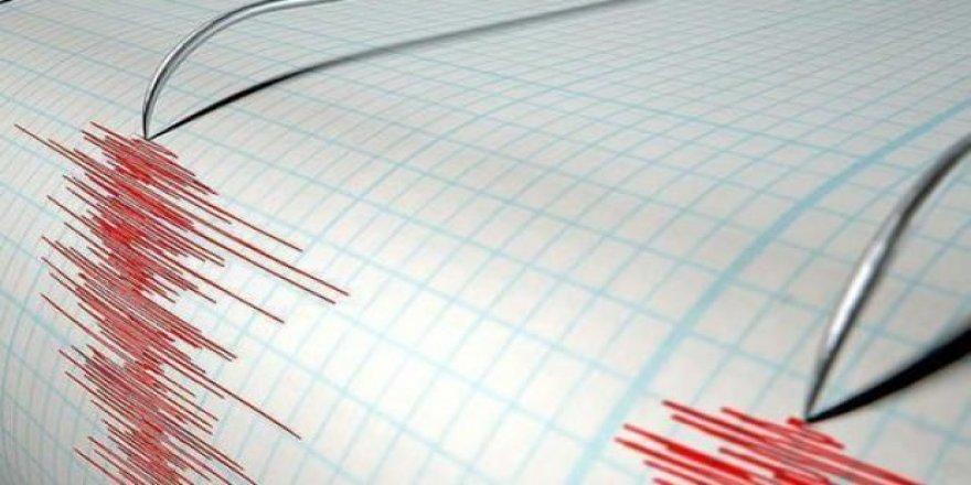 Van'da korkutan deprem!