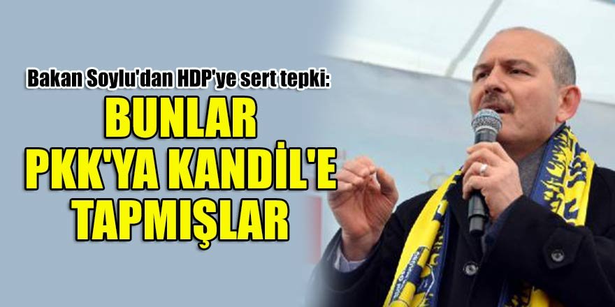 Bakan Soylu'dan Eruh'ta HDP'ye tepki: Bunlar PKK'ya, Kandil'e tapmışlar