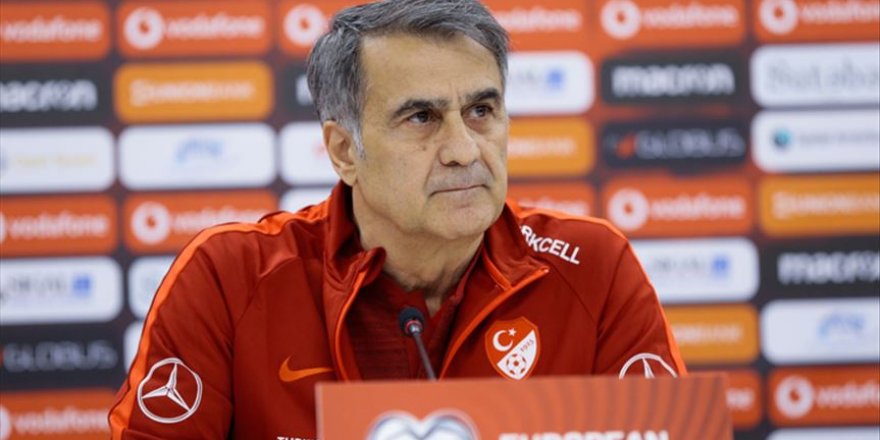 Şenol Güneş: Avrupa Şampiyonası'na katılmak istiyoruz