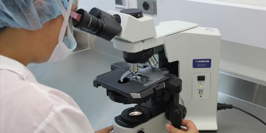 Kanada'da laboratuvarda üretilen etler yiyecek sektöründe kullanılacak