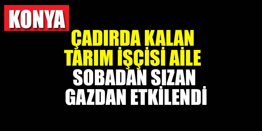 Konya'da çadırda kalan tarım işçisi aile sobadan sızan gazdan etkilendi