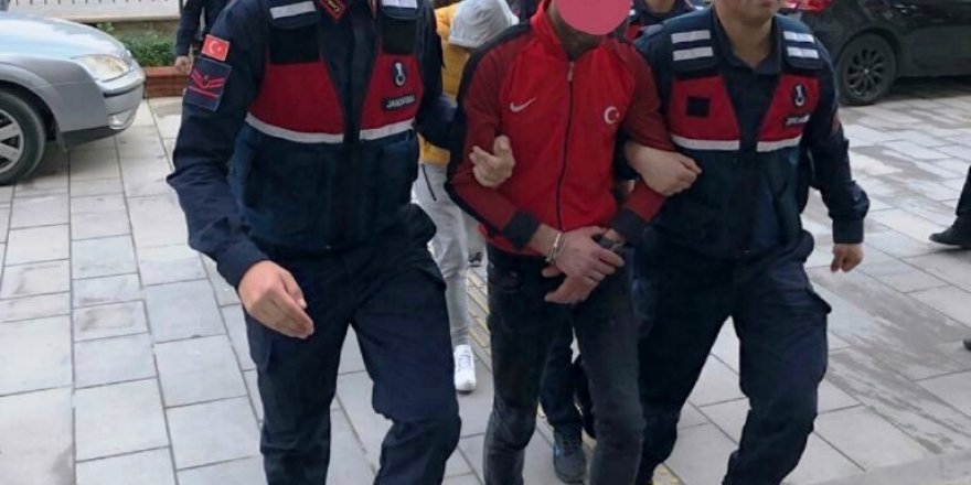Çaldıkları 45 koyunu taşıyacak araç ararken yakalandılar