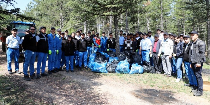 Çalışanlardan orman temizliği