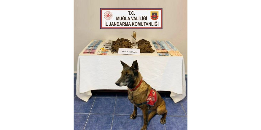 Narkotik Köpek ‘Çimen’den kaçış yok