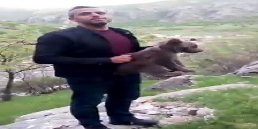 Yavru ayıyla fotoğraf çektirdikten sonra doğaya bıraktılar