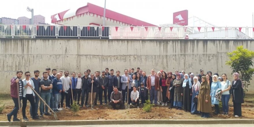 Rize’de üniversite öğrencileri fidan dikti