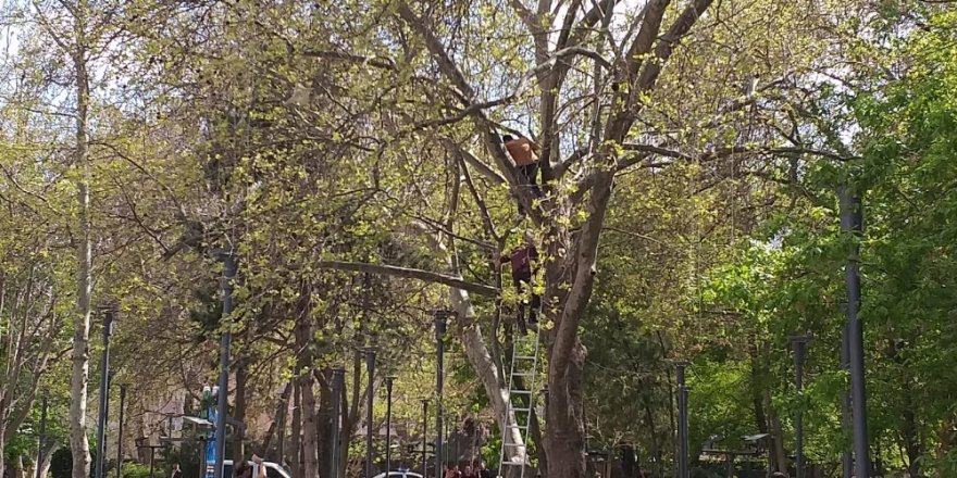 Başkent’in göbeğinde korku dolu anlar