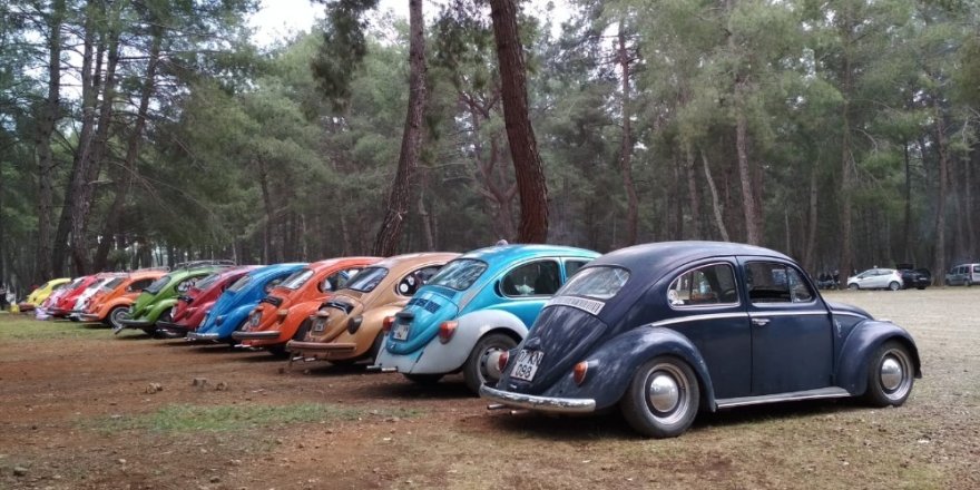 Vosvos araç tutkunları piknikte bir araya geldi