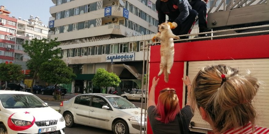 Genç kadın kedisi için ağladı