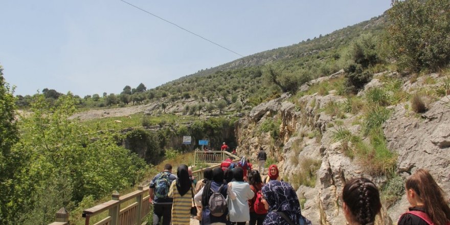 Fidan dikimi ve yürüyüş etkinliği