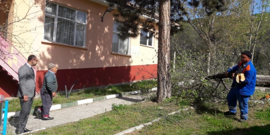 Tosya Belediyesi, mesire alanlarında bakıma çalışmalarını sürdürüyor