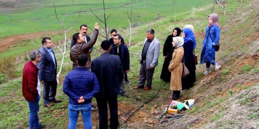 Bingöl’de uygulamalı ceviz yetiştiriciliği eğitimi
