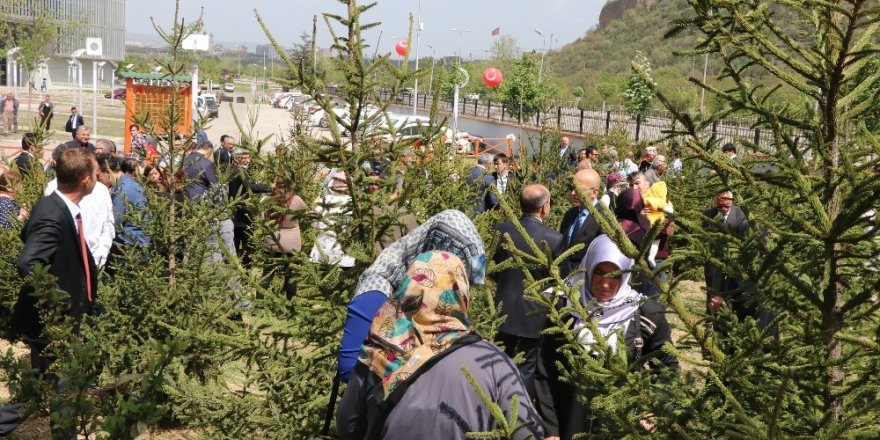 Karabük Valiliğinden, şehit ailelerini duygulandıran fidanlık