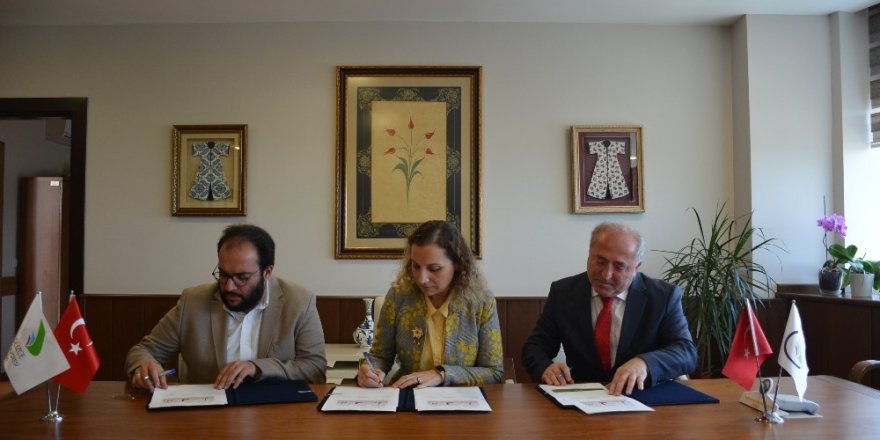 Düzce Üniversitesi fındık verimini ve kalitesini artırmak için çalışıyor