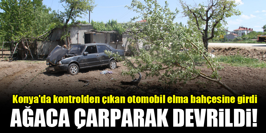Konya'da kontrolden çıkan otomobil elma bahçesine girdi, ağaca çarparak devrildi!