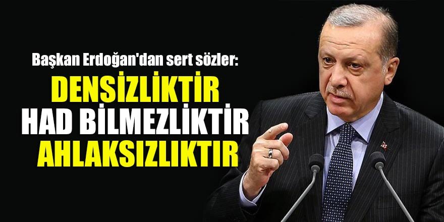 Başkan Erdoğan'dan sert sözler: Densizliktir had bilmezliktir ahlaksızlıktır