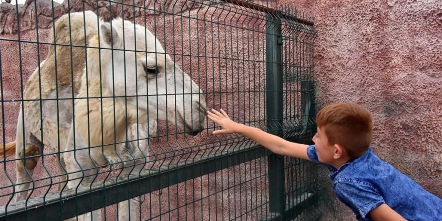 Karatay'dan öğrencilere Bilim Merkezi ve hayvanat bahçesi gezisi yapıldı