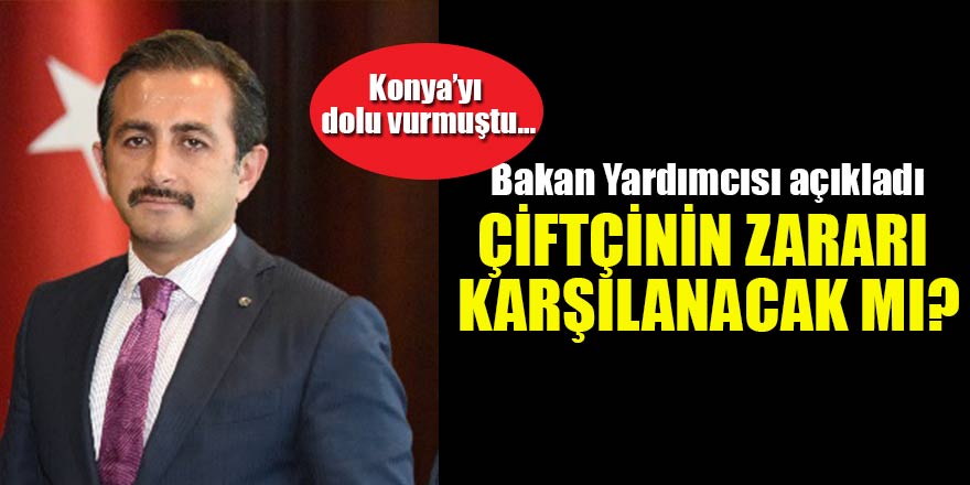 Bakan Yardımcısı açıkladı! Çiftçinin mağduriyeti giderilecek mi?