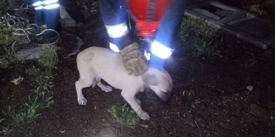 Su kuyusuna düşen köpeği itfaiye kurtardı