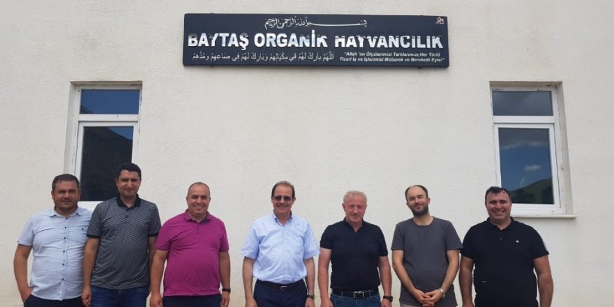 Organik yem katkı maddesi ilk testlerden başarıyla geçti