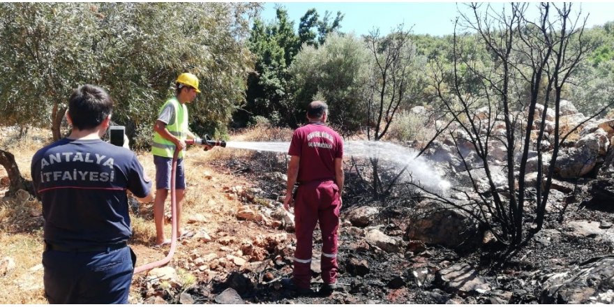 Kaş’ta makilik alanda yangın