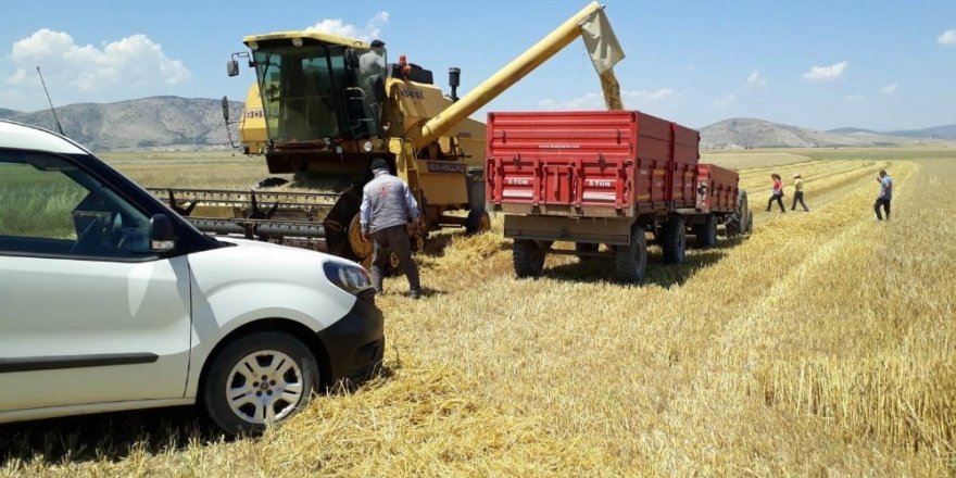 ’Hububat Timleri’ iş başında, fazla dane kaybını önleyerek, biçerdöver ihlallerine yaptırım uygulayacaklar