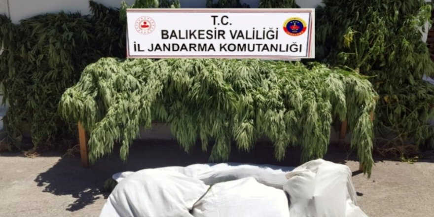 Balıkesir’de jandarma 23 kilo esrar ele geçirdi