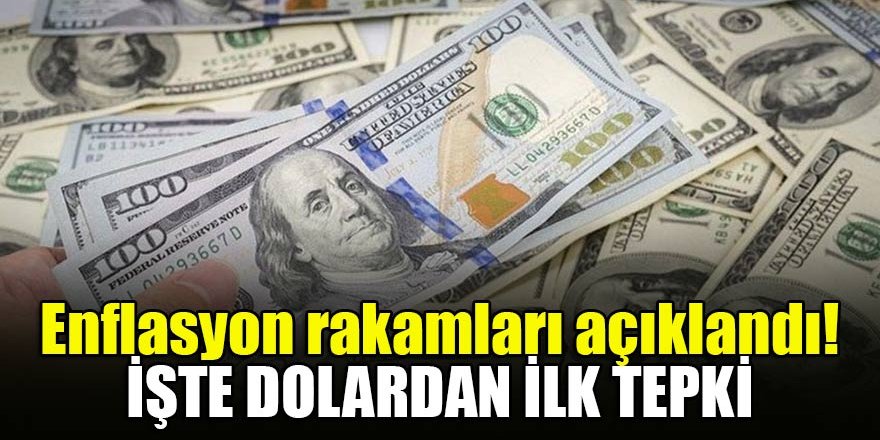 Enflasyon rakamları açıklandı! işte dolardan ilk tepki