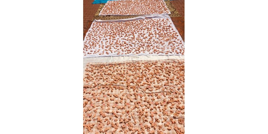 Nallıhan’da tarhana ayı başladı
