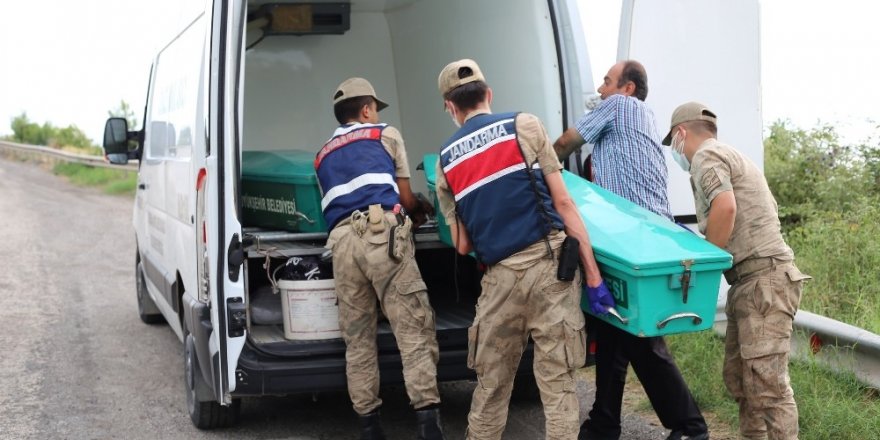 Deniz kıyısında kafası ve kolları olmayan erkek cesedi bulundu