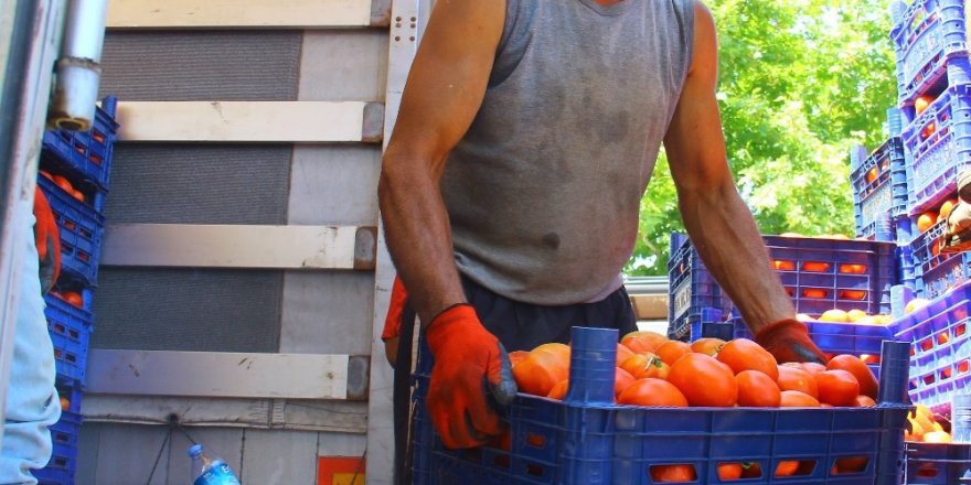 Kas yapmak için değil ekmek kazanmak için her gün 40 ton taşıyorlar