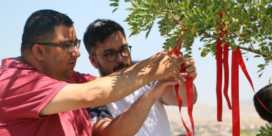 ZİÇEV’li öğrenciler ‘Sevgi Dileği Ağacı’nda umutlarını tazelediler