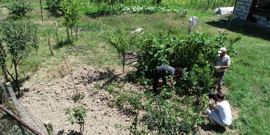 10 yıllık hayali olan organik üretim için mesleğini bıraktı