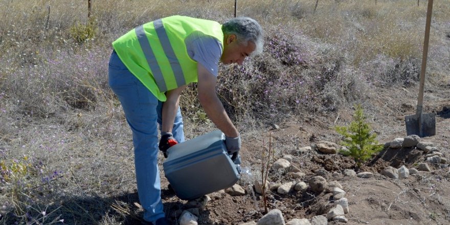 Kayseri Sağlık Müdürlüğü Hatıra Ormanına Sahip Çıkıyor